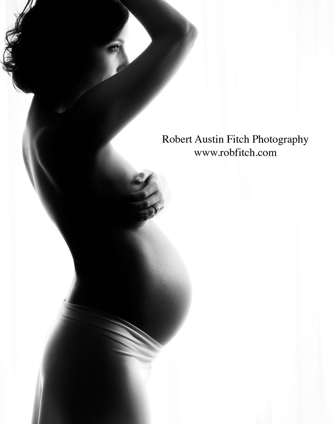 Artistic Maternity Photography Artistic Pregnancy Photos