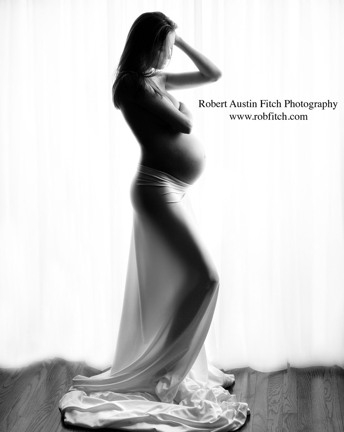 Artistic Maternity Photos Elegant Pregnancy Photography 